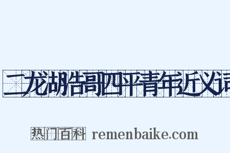 二龙湖浩哥四平青年近义词是什么意思的图片